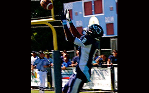 Wolverines take Delaware Valley 21-17